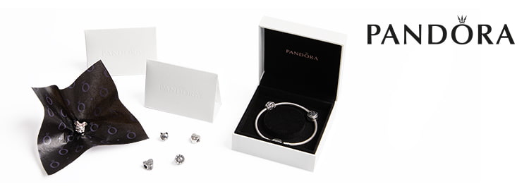 Pandora Jewellery Case