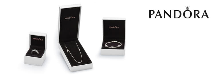 Pandora Jewellery Case