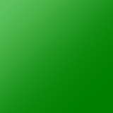 PHREP-Lederarmband grün/schwarz