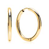 Stainless Steel Hoops Gold Plated