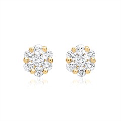 Stud oorbellen 18 karaat geelgoud 14 Diamanten 0,24 ct.