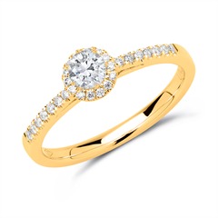 18 karaat gouden halo ring met Diamanten