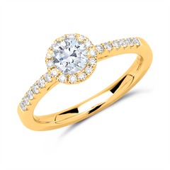 14 karaat gouden halo ring met Diamanten