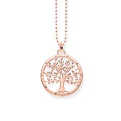 Chain tree of love rosé