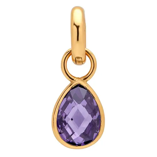 Clip charm in sterling silver plated amethyst