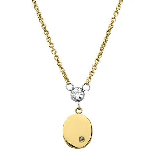 Modern stainless steel necklace with pendant and zirconia