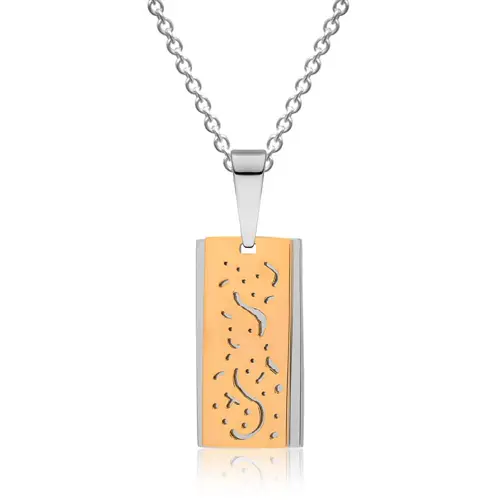 Stainless steel necklace with yellow-gold-plated pendant