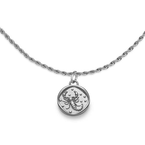 Stainless steel engraving necklace with star sign scorpion