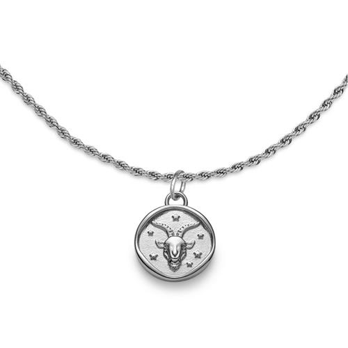 Stainless steel engraving necklace with star sign capricorn