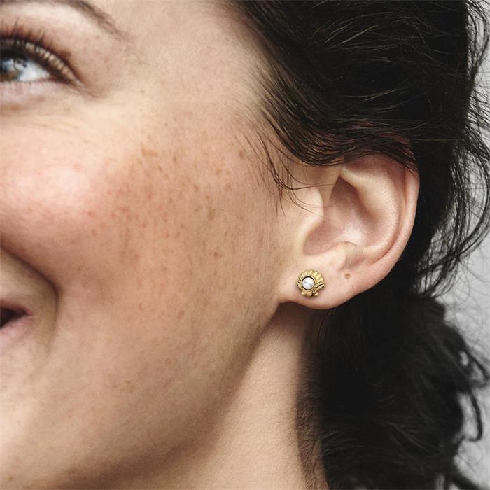 Ear studs shells from disney's arielle, gold