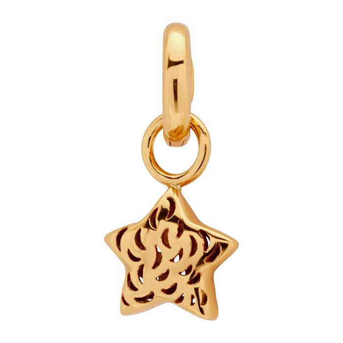 Gold plated sterling silver clipcharm