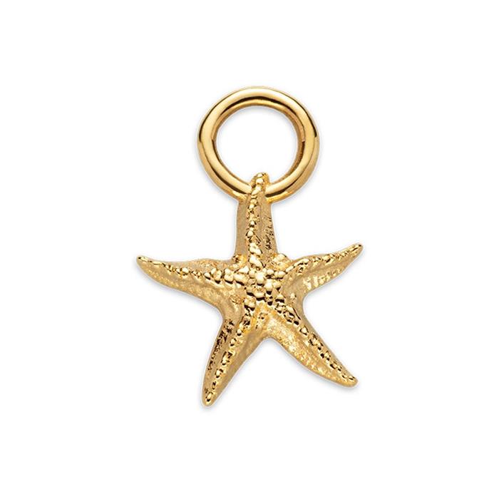 Charm starfish in gold plated ocean steel