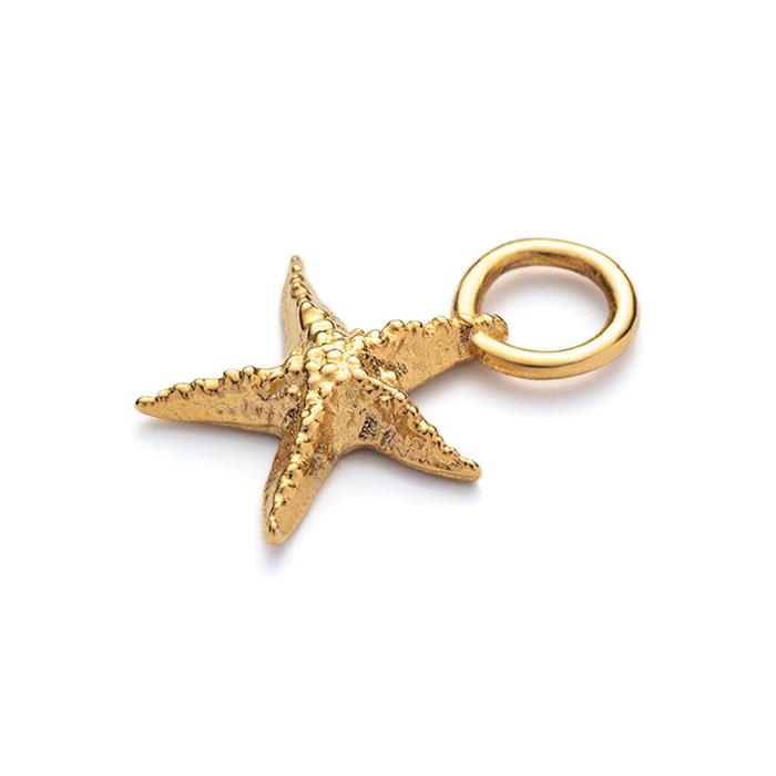 Charm starfish in gold plated ocean steel