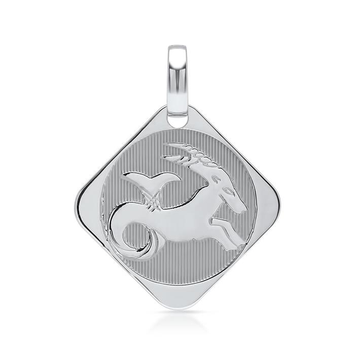 Silver necklace zodiac sign capricorn