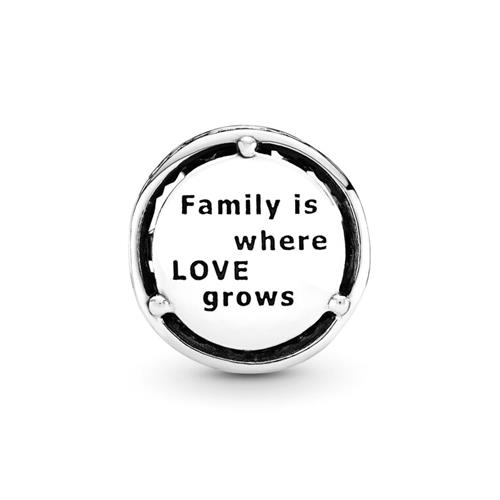 Charm Family Roots 925 Silver And Hearts