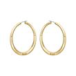 Ladies' hoop earrings June in stainless steel, gold-plated