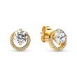 Radiant circle ear studs with cubic zirconia, IP gold