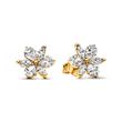 Ladies ear studs moments herbarium cluster, gold-plated