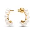 Timeless stud earrings for women with pearls, IP gold
