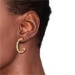 Dames oorbellen van roestvrij staal, IP goud