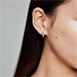 Zirconia set earrings for women, rose