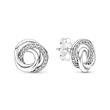 Intertwined Circle Ear Studs, 925 Sterling Silver, Cubic Zirconia