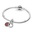 Sterling silver charm with cubic zirconia and crystals