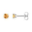 Ladies stud earrings in 14 carat white gold with citrines