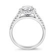 Halo ring with diamonds in white gold or platinum