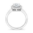 Halo engagement ring with diamonds in white gold, platinum