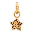 Gold Plated Sterling Silver Clipcharm