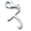 Sterling silver charm to collect & combine