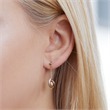 Ear studs in 14ct gold tricolor with diamonds