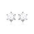 Diamond stud earrings for ladies in 14ct white gold