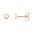 Dames oorbellen in 14k rose goud met Diamanten