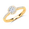 18 karaat gouden halo ring met Diamanten