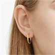 Hoops made of stainless steel, gold-plated