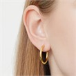 Stainless steel hoops gold plated
