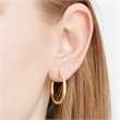 Stainless steel hoops gold plated with zirconia