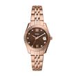 Scarlette ladies watch with quartz movement in stainless steel, rosé