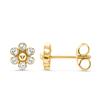 9K Gold Flower Stud Earrings With Cubic Zirconia