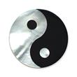 Steek munt hanger yin en yang in