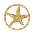 Coin stainless steel starfish yellow gold