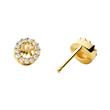 Ladies earstuds made of gold-plated 925 silver zirconia