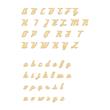 14-karaats gouden ketting met selecteerbare naam of term