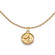 Zodiac engraving chain aquarius in stainless steel, gold