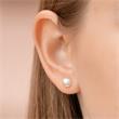 Frosted earrings in sterling silver