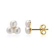 Earstuds made of gold-plated 925 silver with pearls