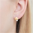 Earstuds shells with beads 925 silver gold-plated