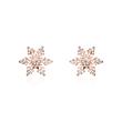 Ear studs snowflakes 925 silver, rose gold